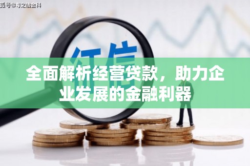 茌平全面解析经营贷款，助力企业发展的金融利器