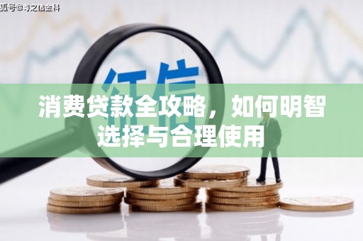 茌平消费贷款全攻略，如何明智选择与合理使用