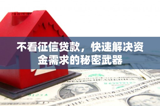 茌平不看征信贷款，快速解决资金需求的秘密武器