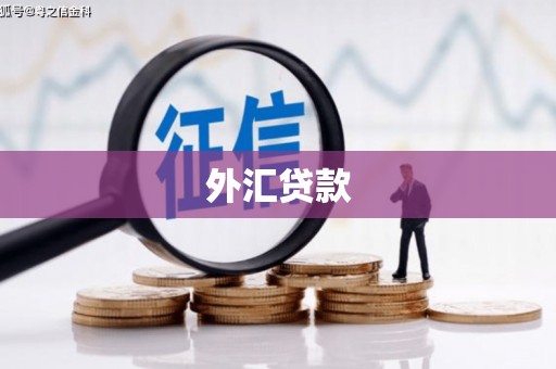 茌平外汇贷款