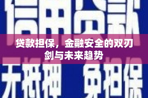 茌平贷款担保，金融安全的双刃剑与未来趋势
