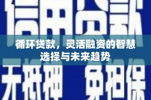 茌平循环贷款，灵活融资的智慧选择与未来趋势