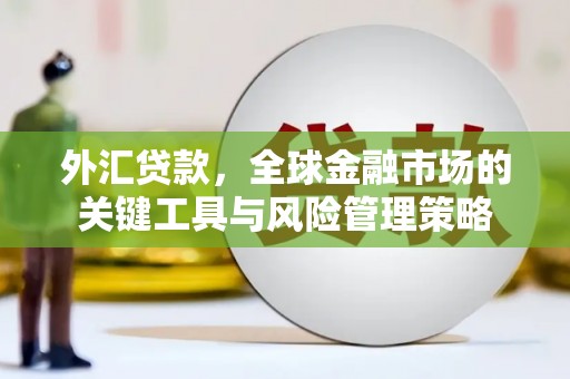 茌平外汇贷款，全球金融市场的关键工具与风险管理策略