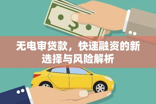 茌平无电审贷款，快速融资的新选择与风险解析