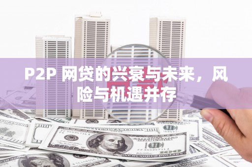 茌平P2P 网贷的兴衰与未来，风险与机遇并存