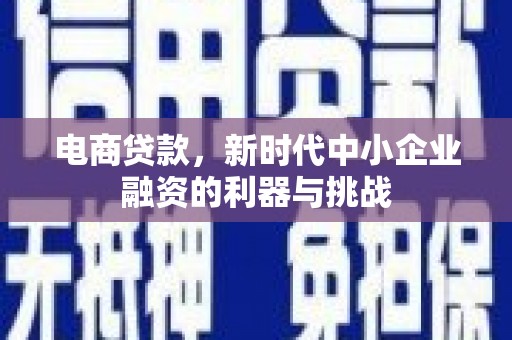茌平电商贷款，新时代中小企业融资的利器与挑战