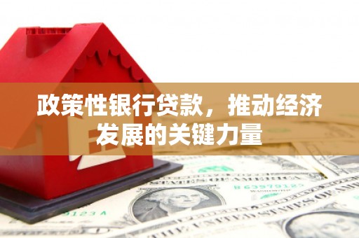 茌平政策性银行贷款，推动经济发展的关键力量