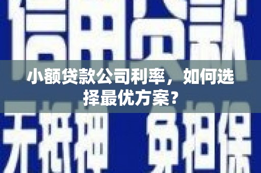 茌平小额贷款公司利率，如何选择最优方案？