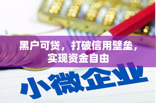茌平黑户可贷，打破信用壁垒，实现资金自由