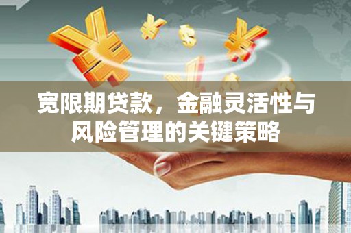 茌平宽限期贷款，金融灵活性与风险管理的关键策略