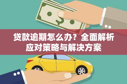 茌平贷款逾期怎么办？全面解析应对策略与解决方案