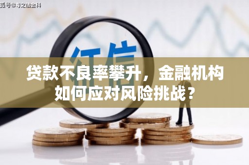 茌平贷款不良率攀升，金融机构如何应对风险挑战？