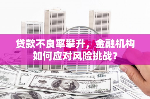 茌平贷款不良率攀升，金融机构如何应对风险挑战？