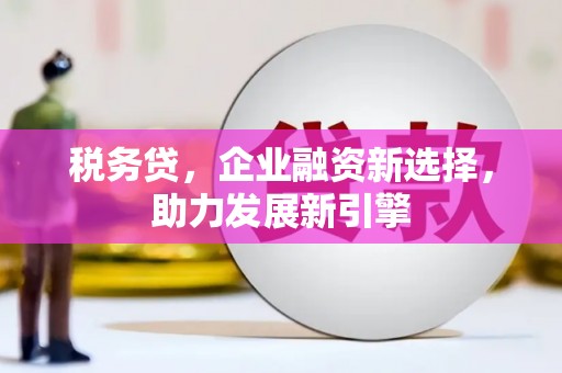 茌平税务贷，企业融资新选择，助力发展新引擎