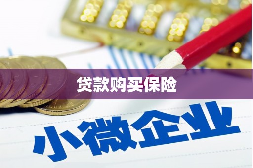 茌平贷款购买保险