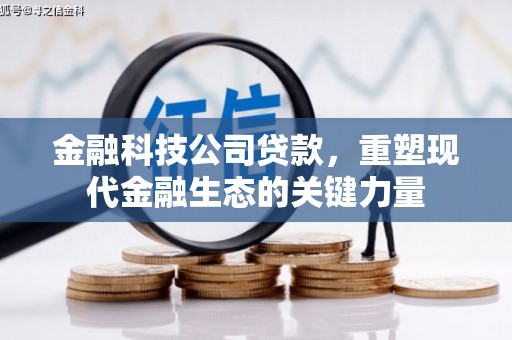 茌平金融科技公司贷款，重塑现代金融生态的关键力量