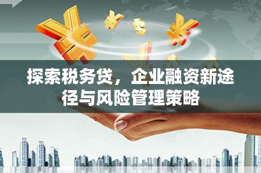 茌平探索税务贷，企业融资新途径与风险管理策略