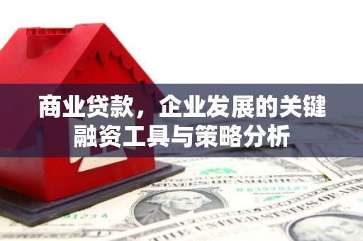 茌平商业贷款，企业发展的关键融资工具与策略分析