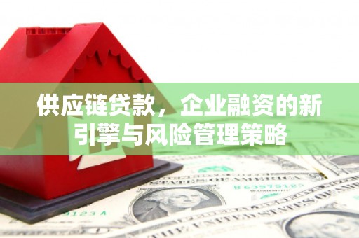 茌平供应链贷款，企业融资的新引擎与风险管理策略