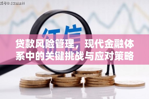 茌平贷款风险管理，现代金融体系中的关键挑战与应对策略
