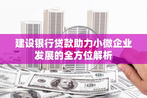 茌平建设银行贷款助力小微企业发展的全方位解析
