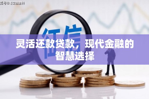 茌平灵活还款贷款，现代金融的智慧选择