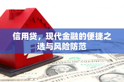 茌平信用贷，现代金融的便捷之选与风险防范