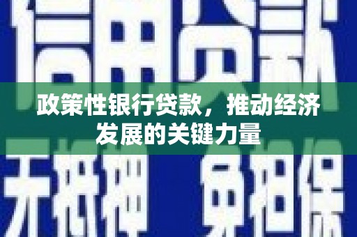 茌平政策性银行贷款，推动经济发展的关键力量