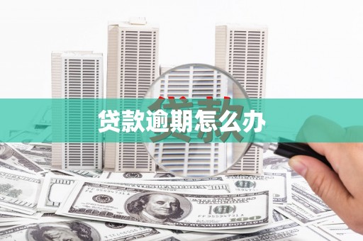 茌平贷款逾期怎么办