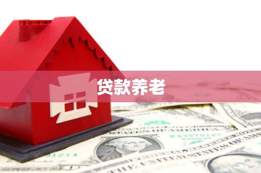 茌平贷款养老