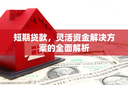 茌平短期贷款，灵活资金解决方案的全面解析
