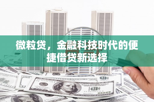 茌平微粒贷，金融科技时代的便捷借贷新选择