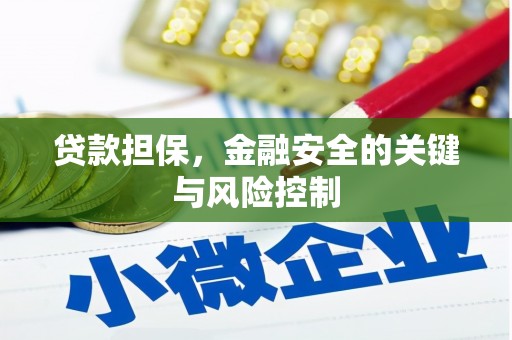 茌平贷款担保，金融安全的关键与风险控制