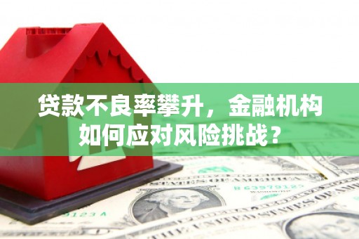 茌平贷款不良率攀升，金融机构如何应对风险挑战？