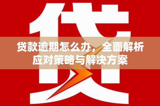 茌平贷款逾期怎么办，全面解析应对策略与解决方案