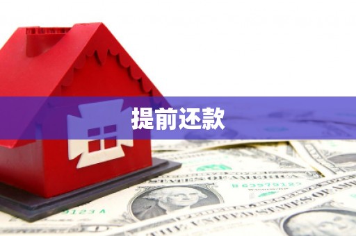 茌平提前还款